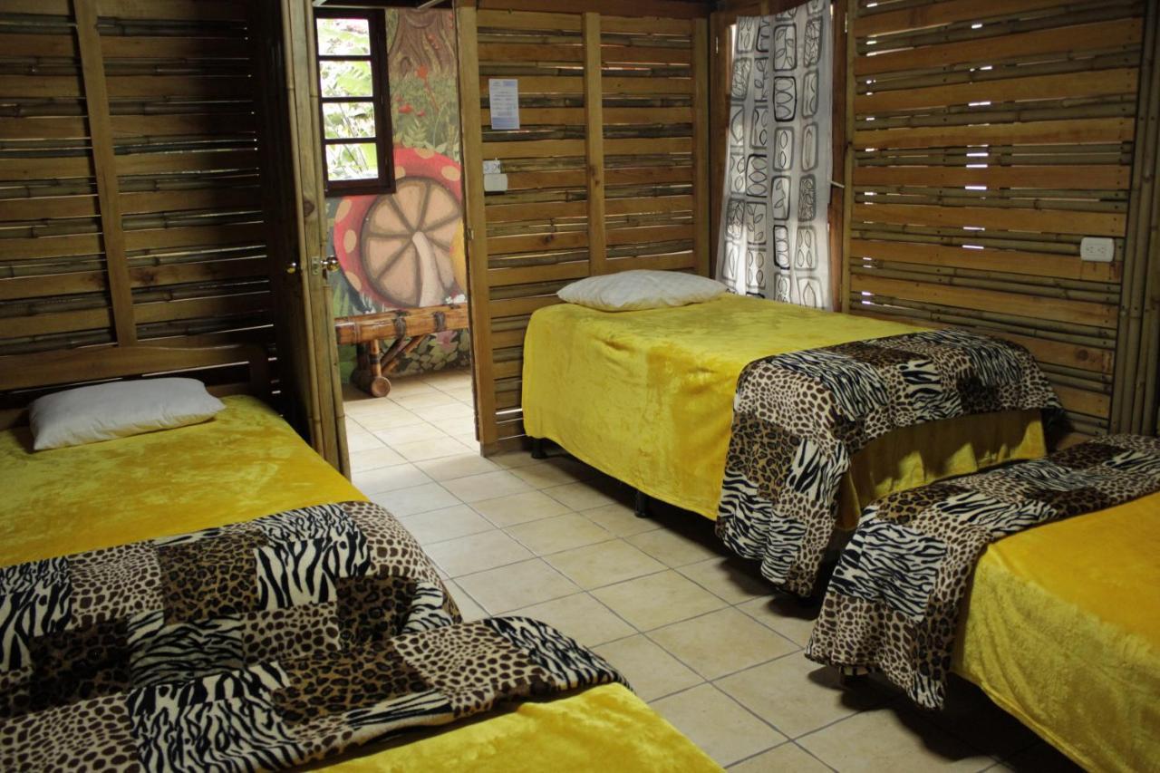 Hostal Casa Buho 危地马拉安地瓜 外观 照片